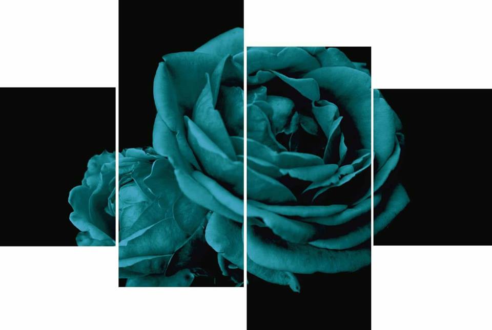 myasthenia gravis blue rose